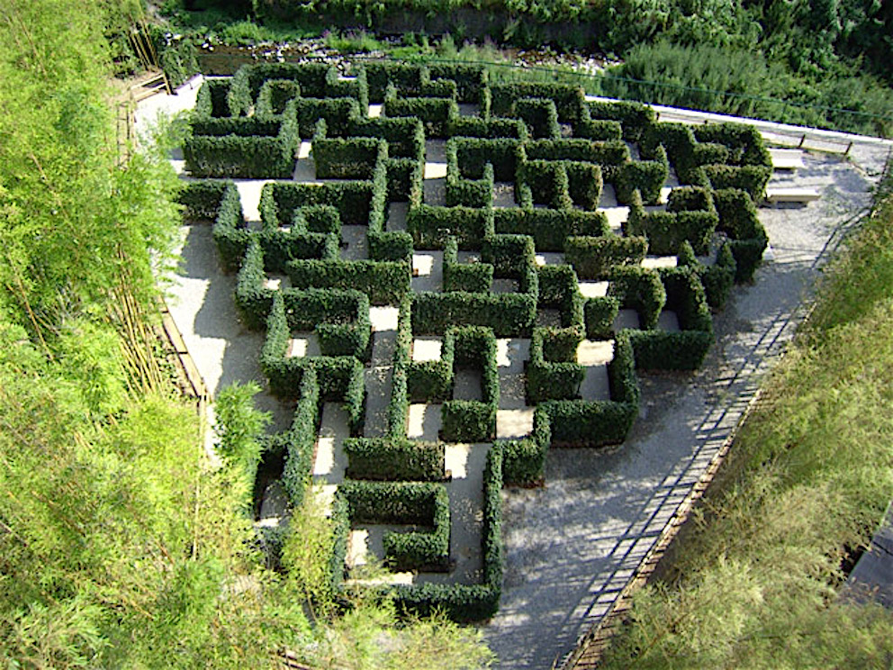 Pinocchio park: maze hedges and fences