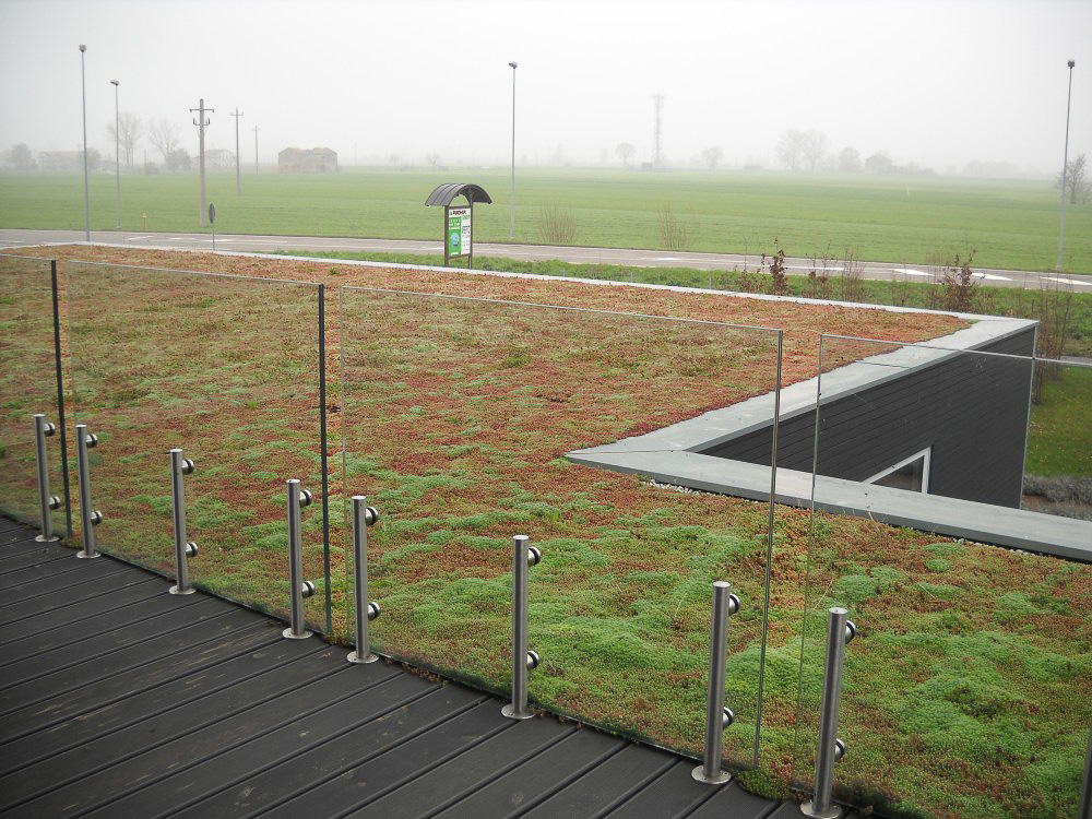 Pircher: green roof