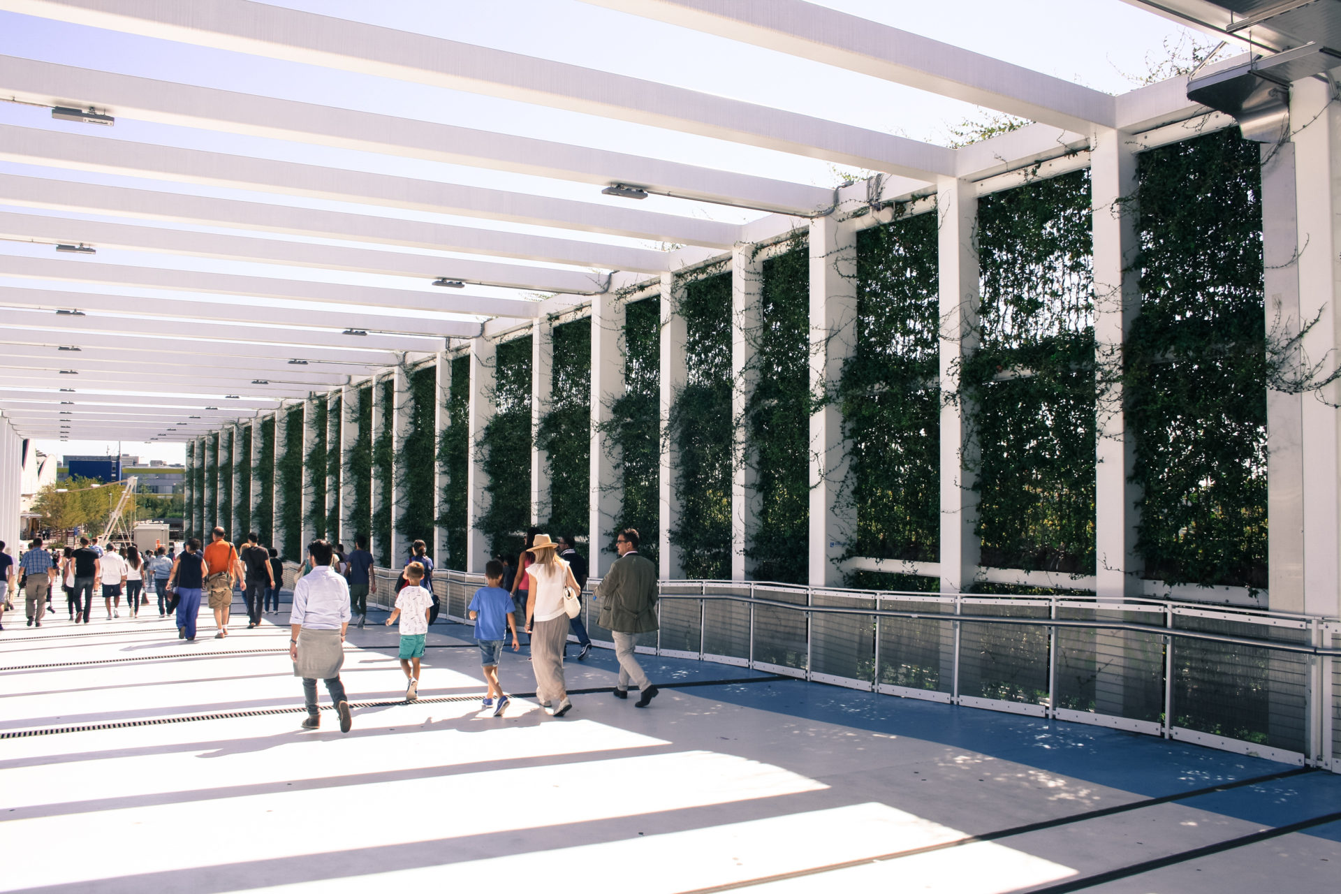 Pre-grown vertical garden at EXPO Milano 2015