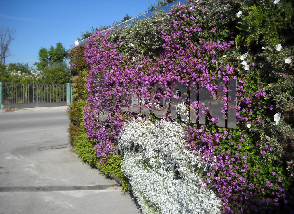 Giardino verticale Poliflor