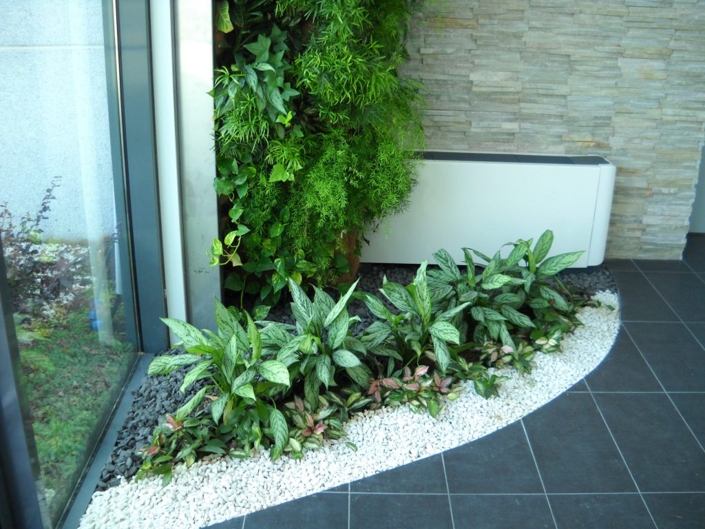 Giardino verticale Poliflor