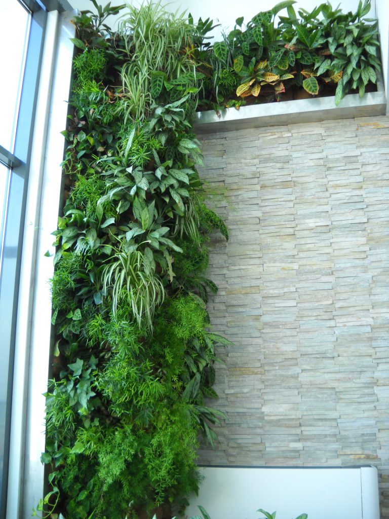 Giardino verticale Poliflor