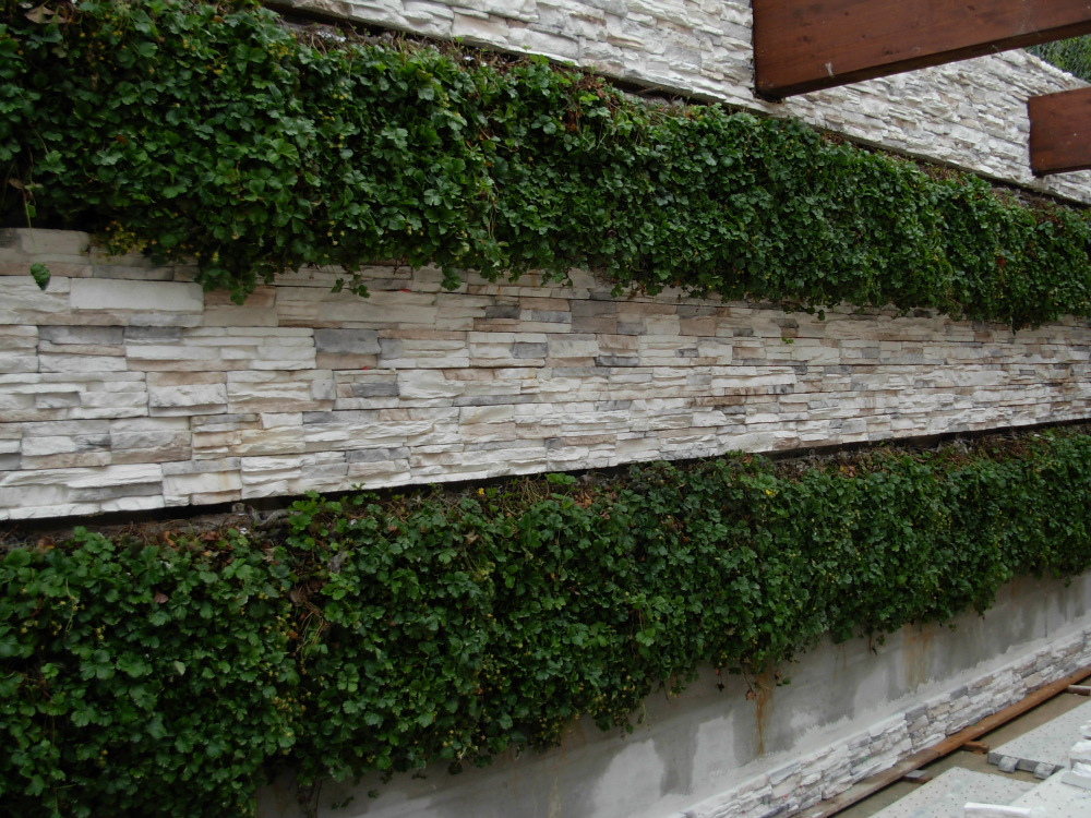 Arteverde vertical garden