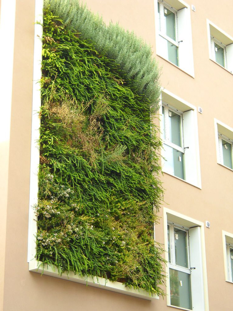 Bellinzaghi Milano: vertical garden