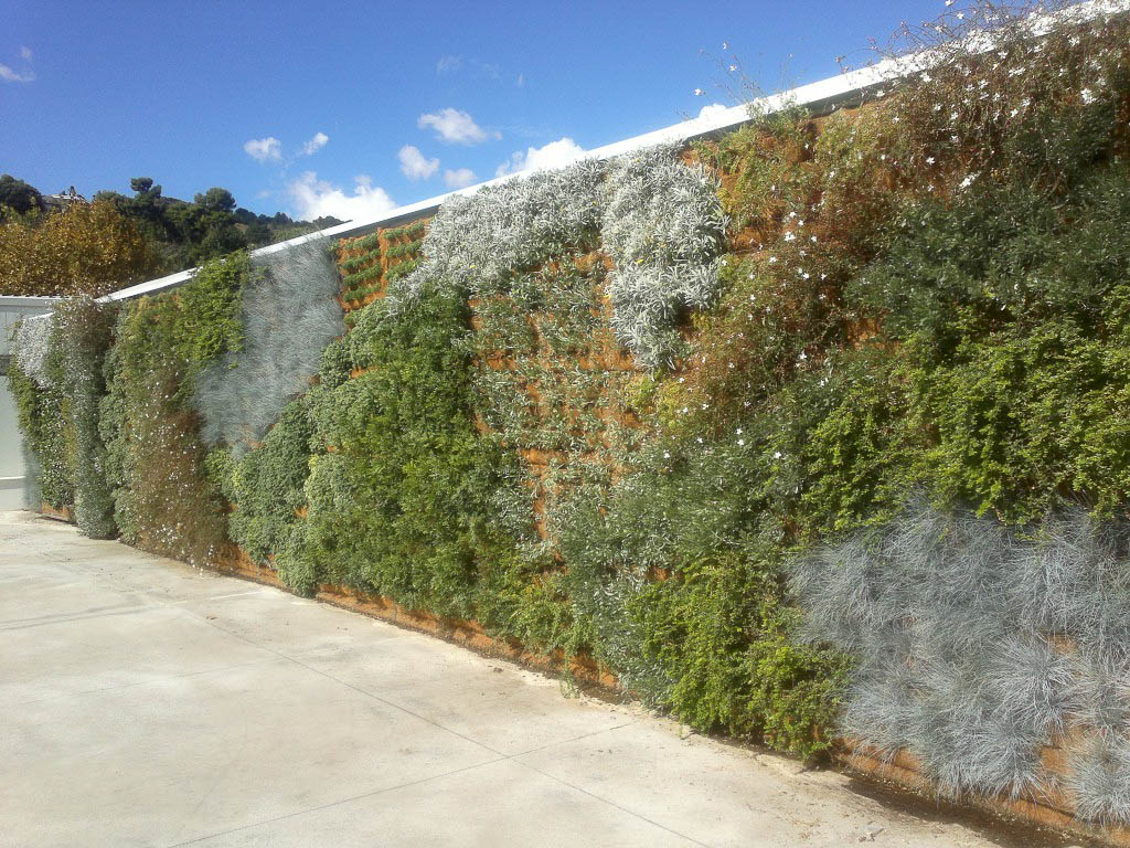 Vertical garden at S.Benedetto del Tronto