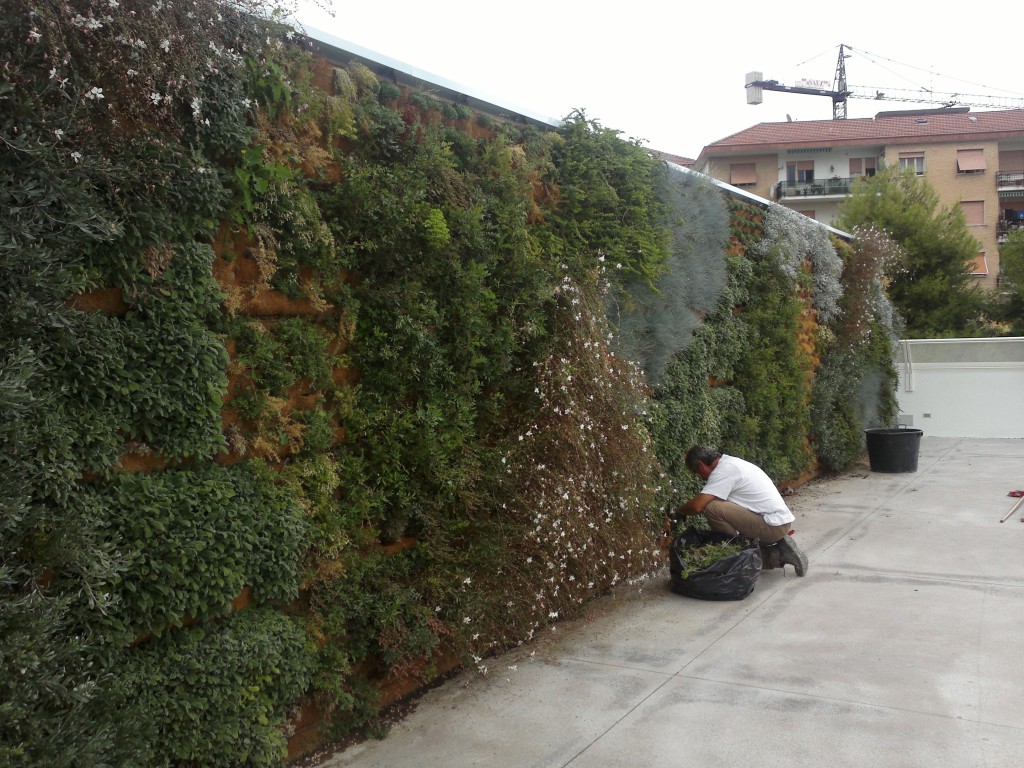 Giardino verticale Poliflor