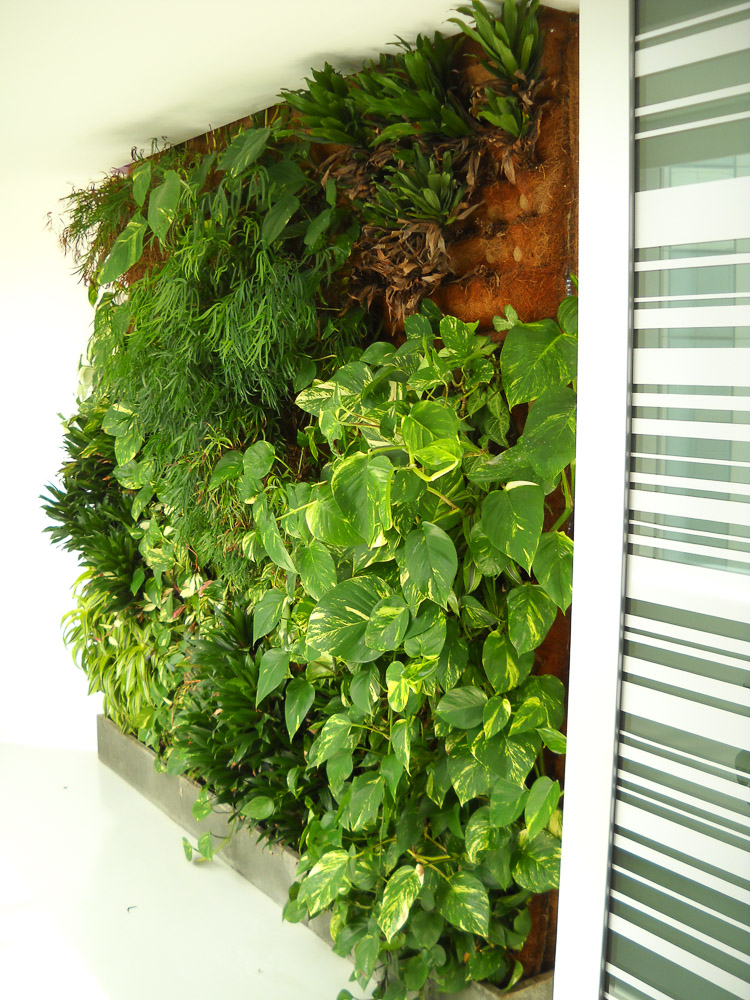 IBM store, Rome: interior vertical garden