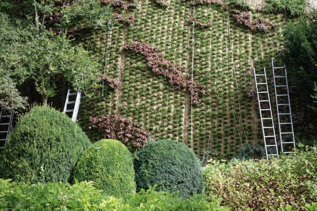 Giardino verticale Poliflor