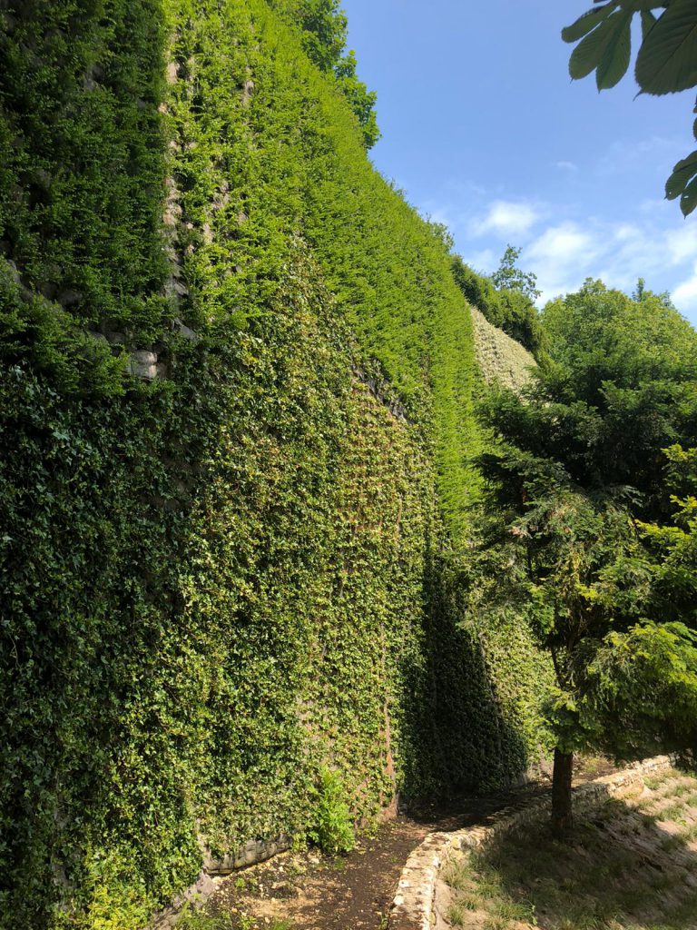 Giardino verticale Poliflor