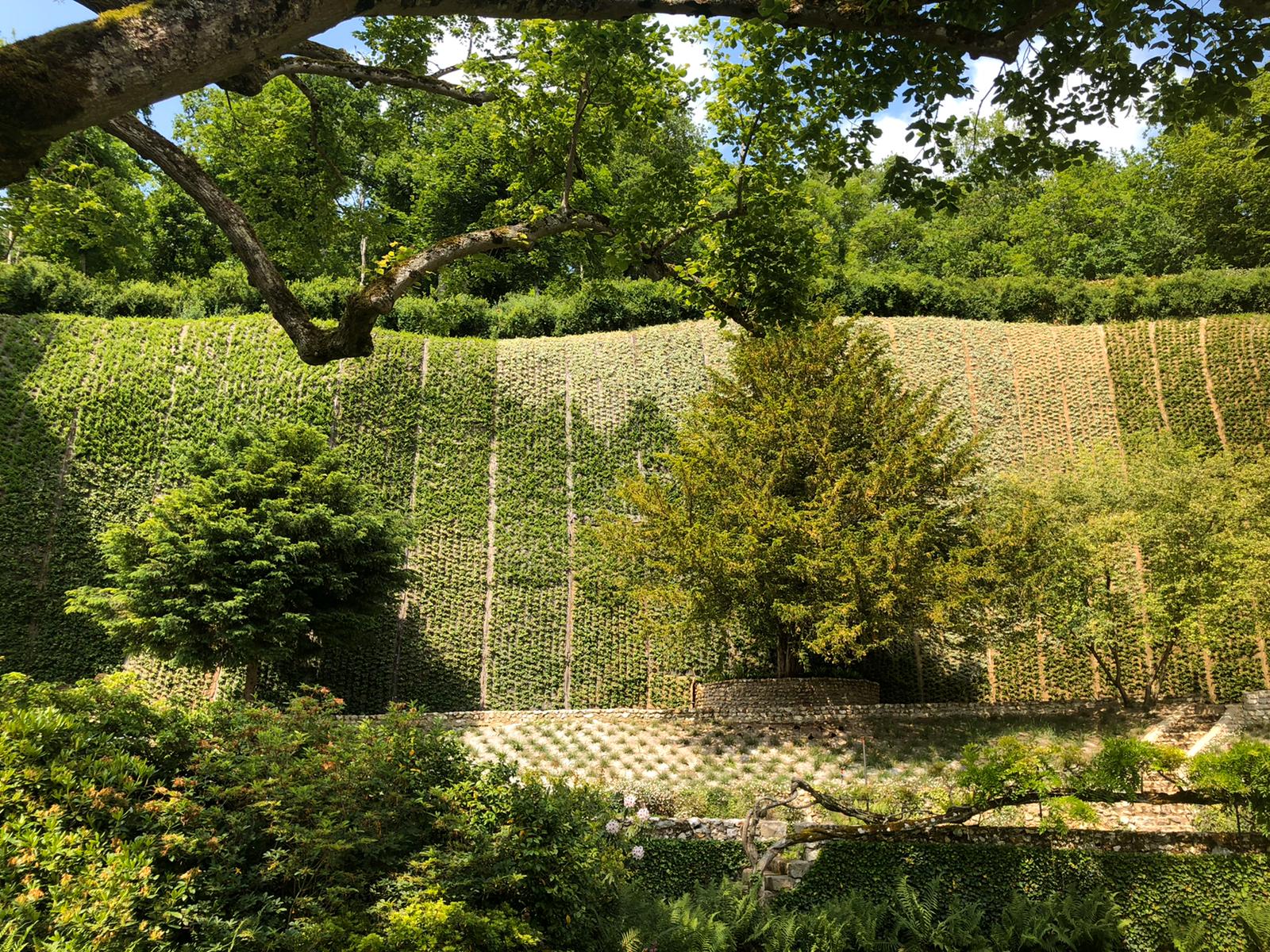 Giardino verticale e progetto di landscape, Francia