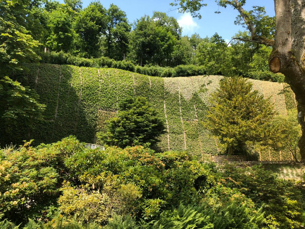 Giardino verticale Poliflor