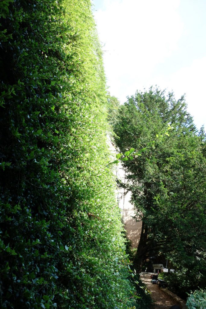 Giardino verticale Poliflor