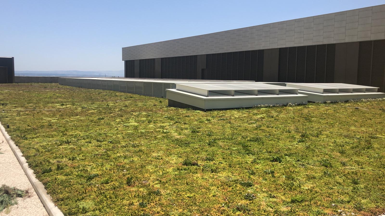 Green roof for Humanitas clinical institute in Catania