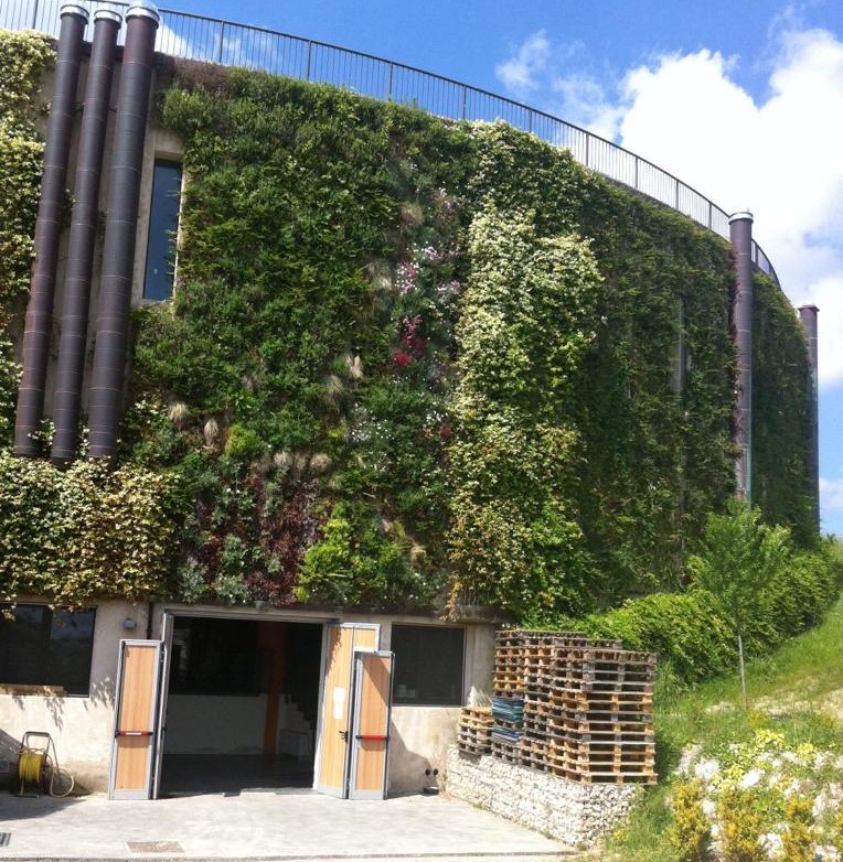 Vertical garden for a winery, Montepulciano