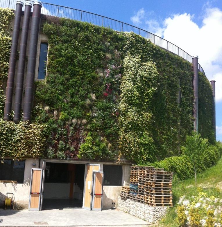 Giardino verticale per una cantina a Montepulciano