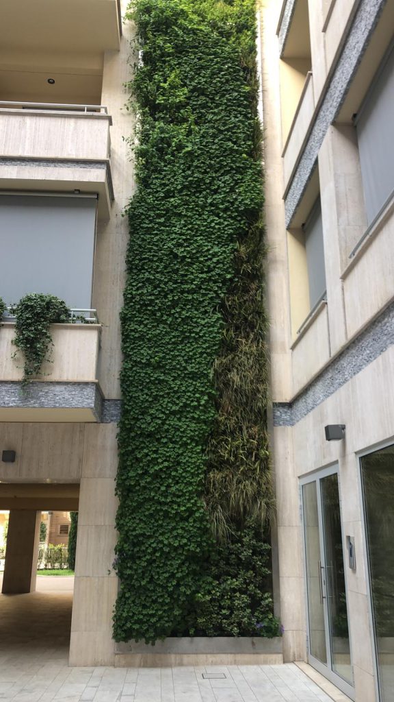 Giardino verticale Poliflor