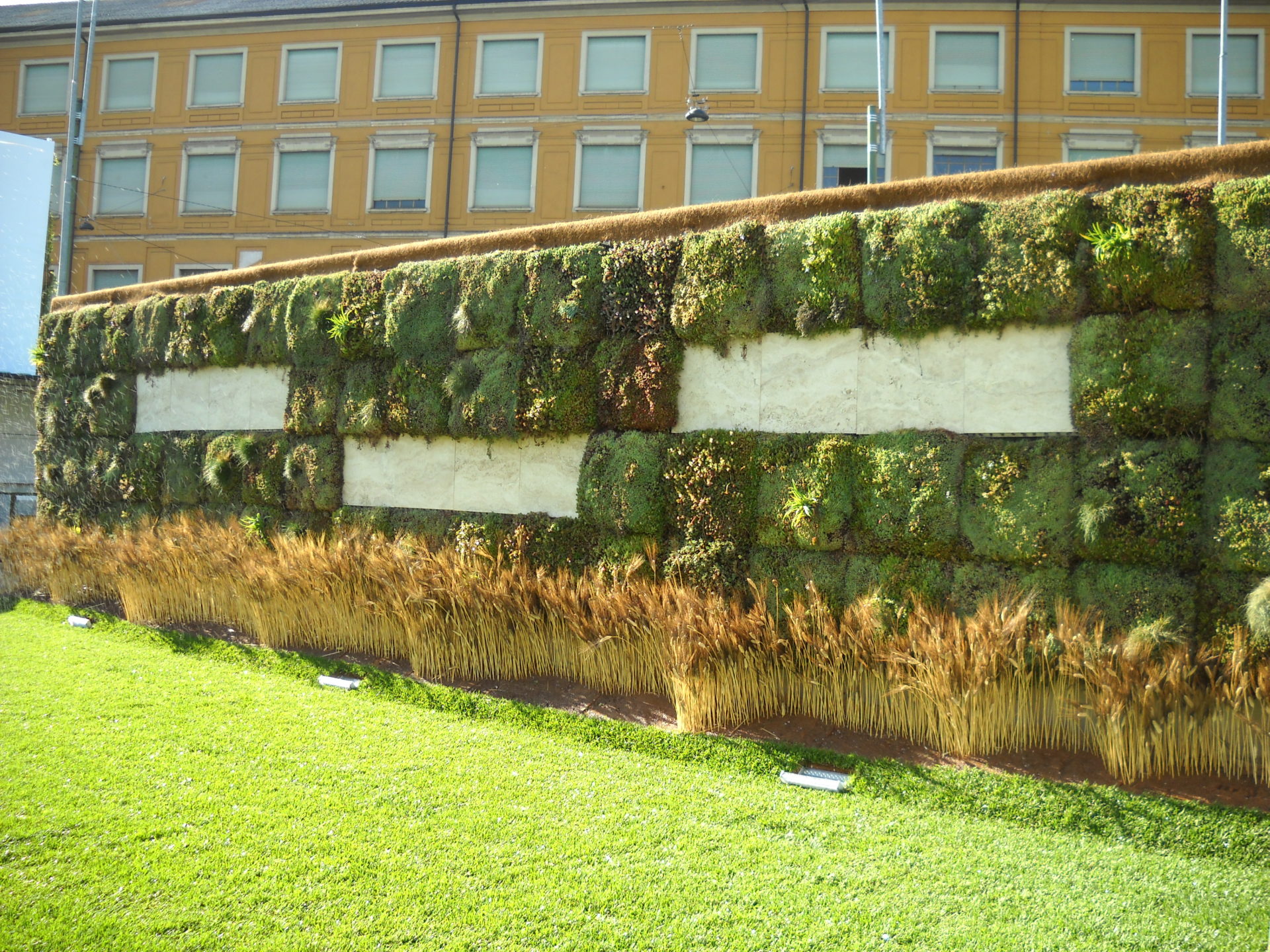 Fabbrica del vapore: giardino verticale