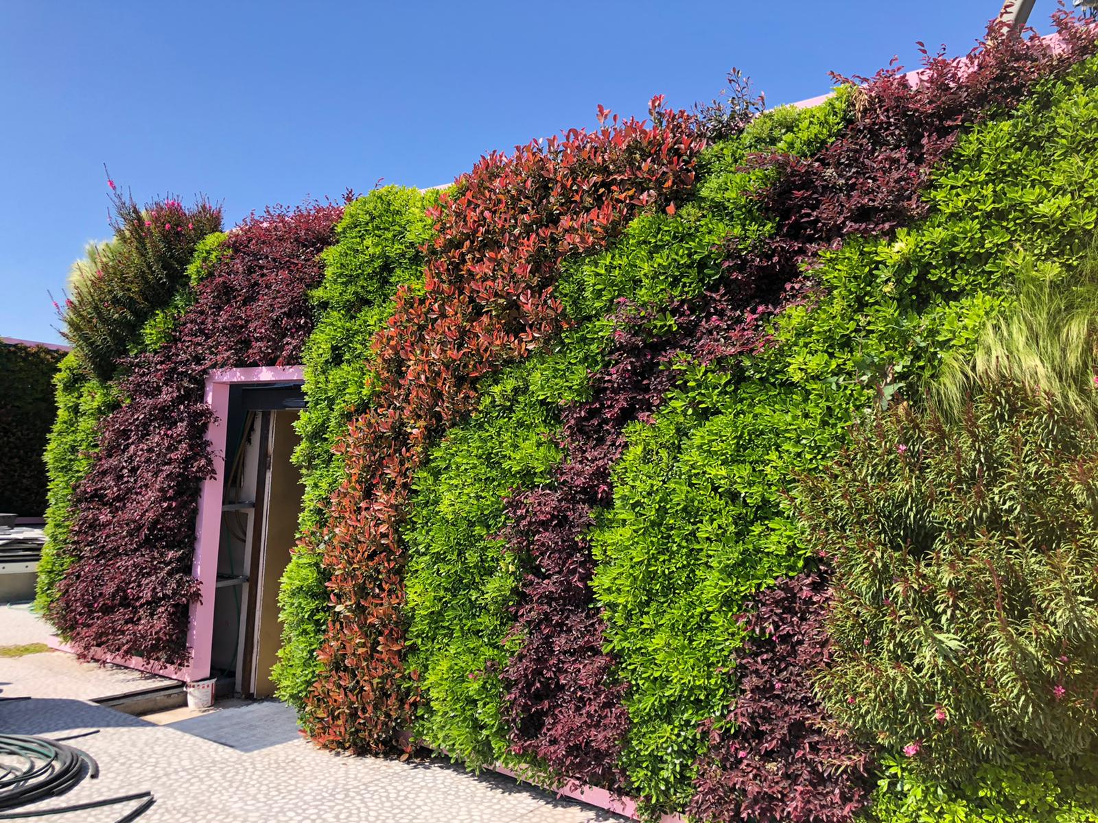 Vertical gardens for ODS Hotel in Milano