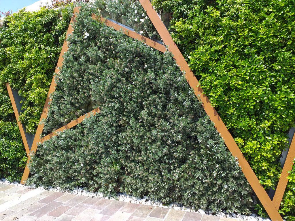 Giardino verticale Poliflor