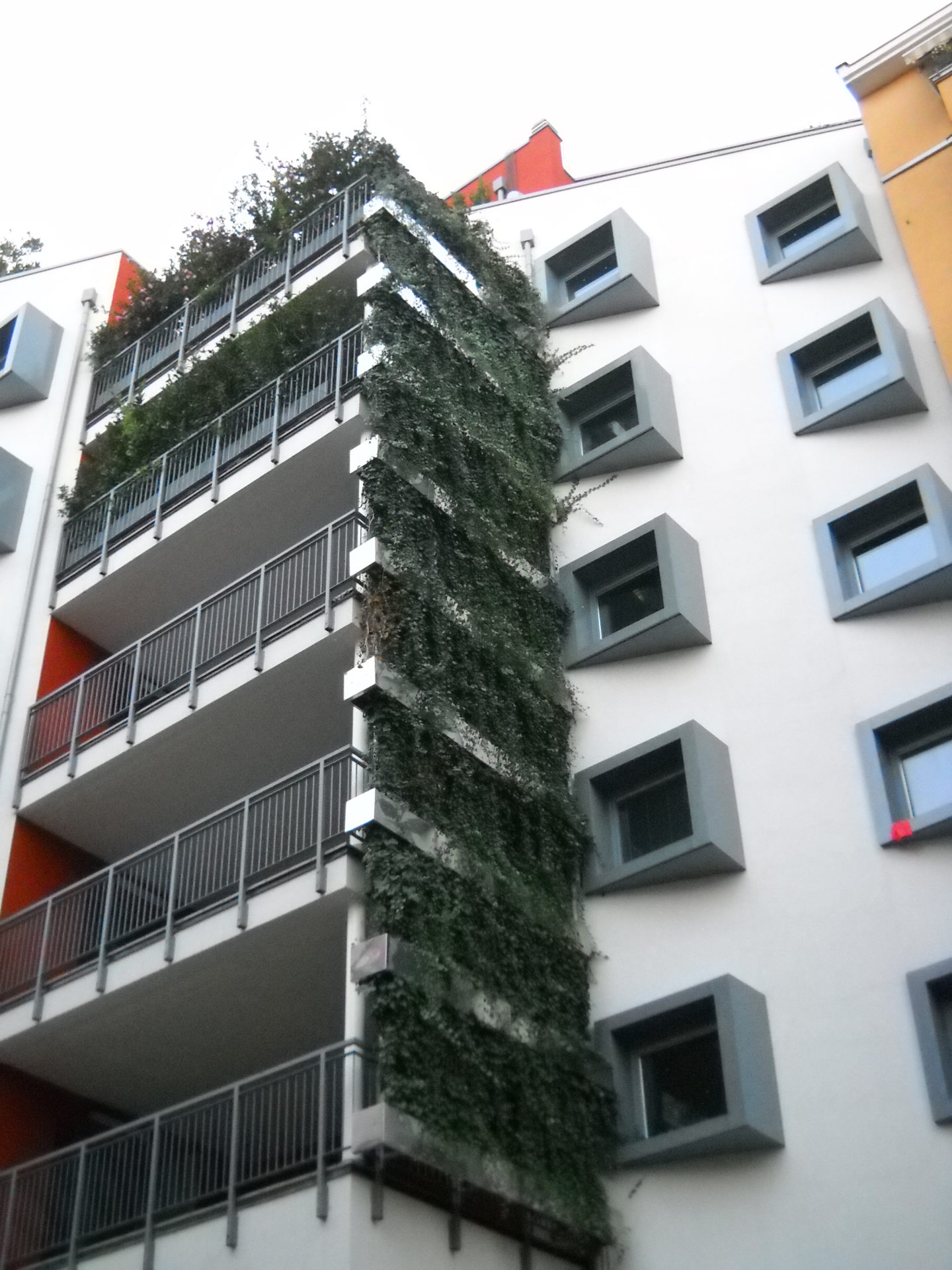 Pre-grown vertical garden for Trident real estate