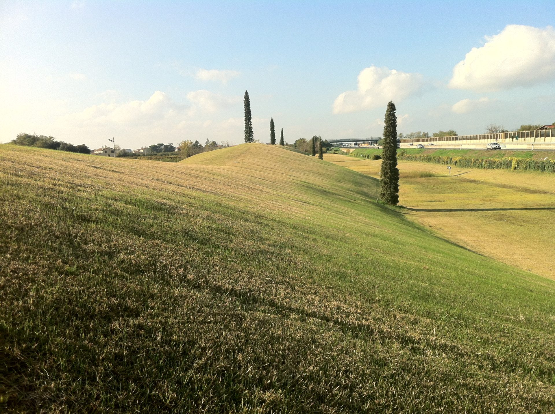 Turf lawn at Tecnogym headquarters