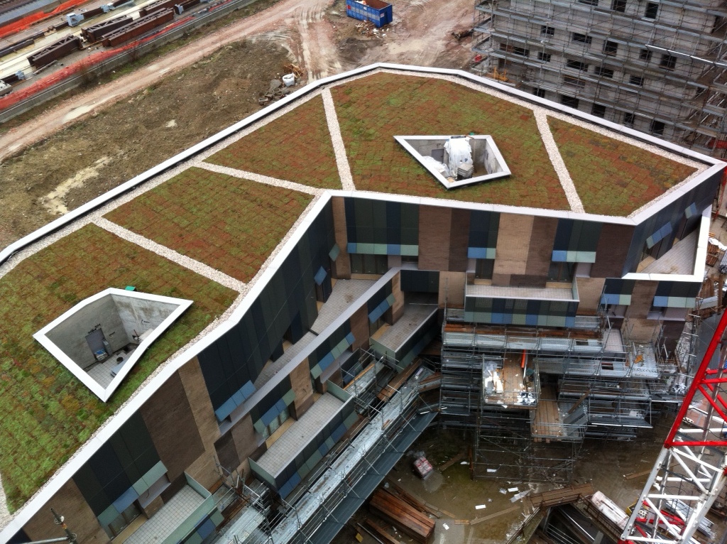 Trilogia Navile: green roof system