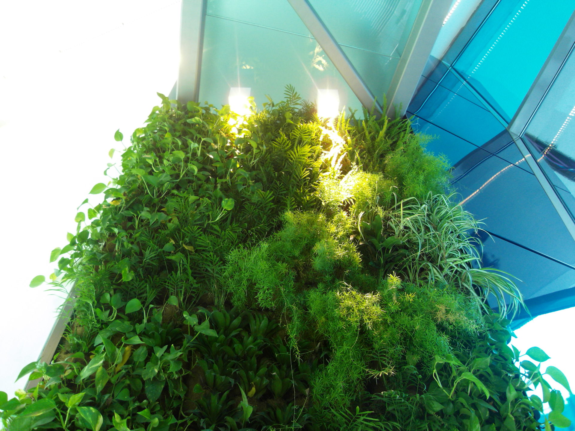 KPMG Milano: interior vertical garden