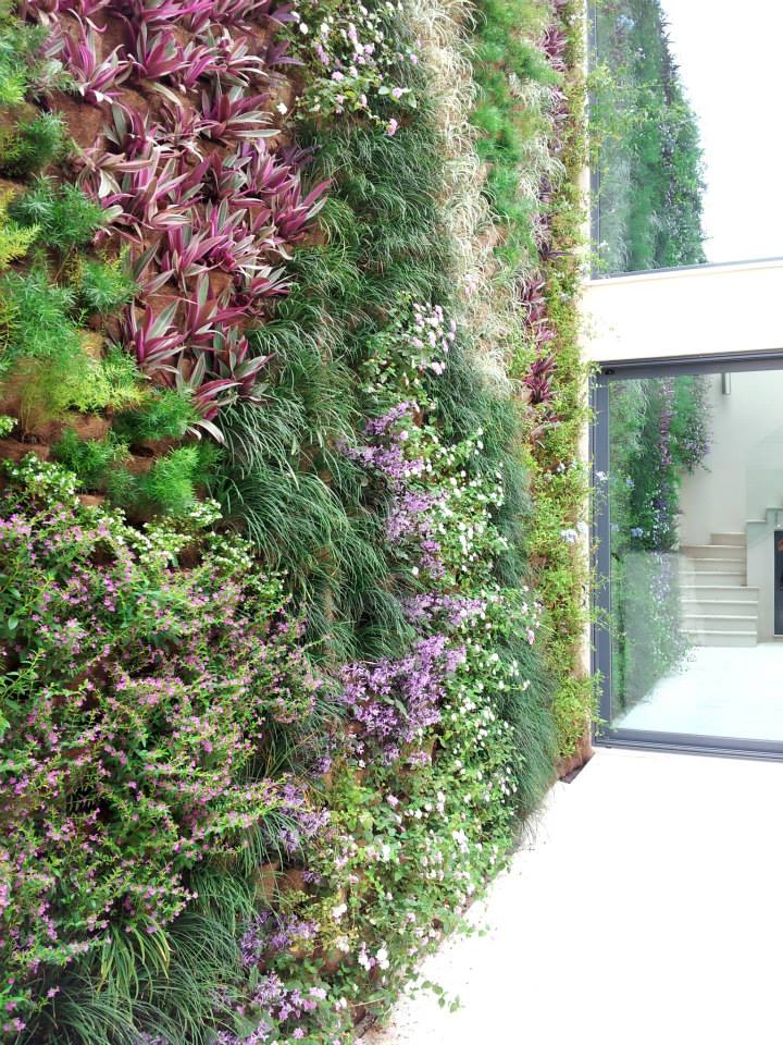 Vertical garden in Angola