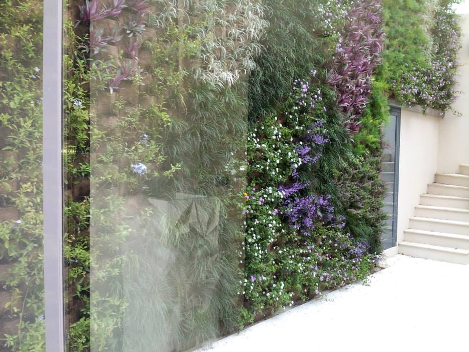 Giardino verticale Poliflor