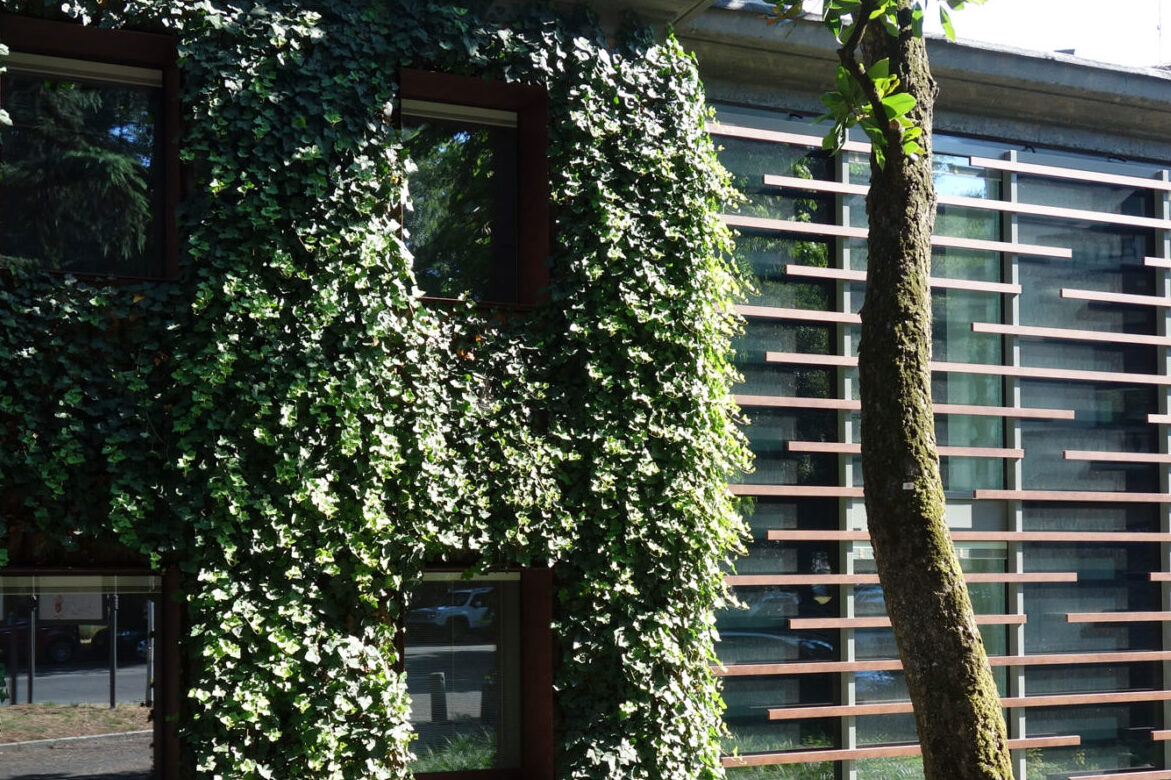 Giardino verticale Poliflor